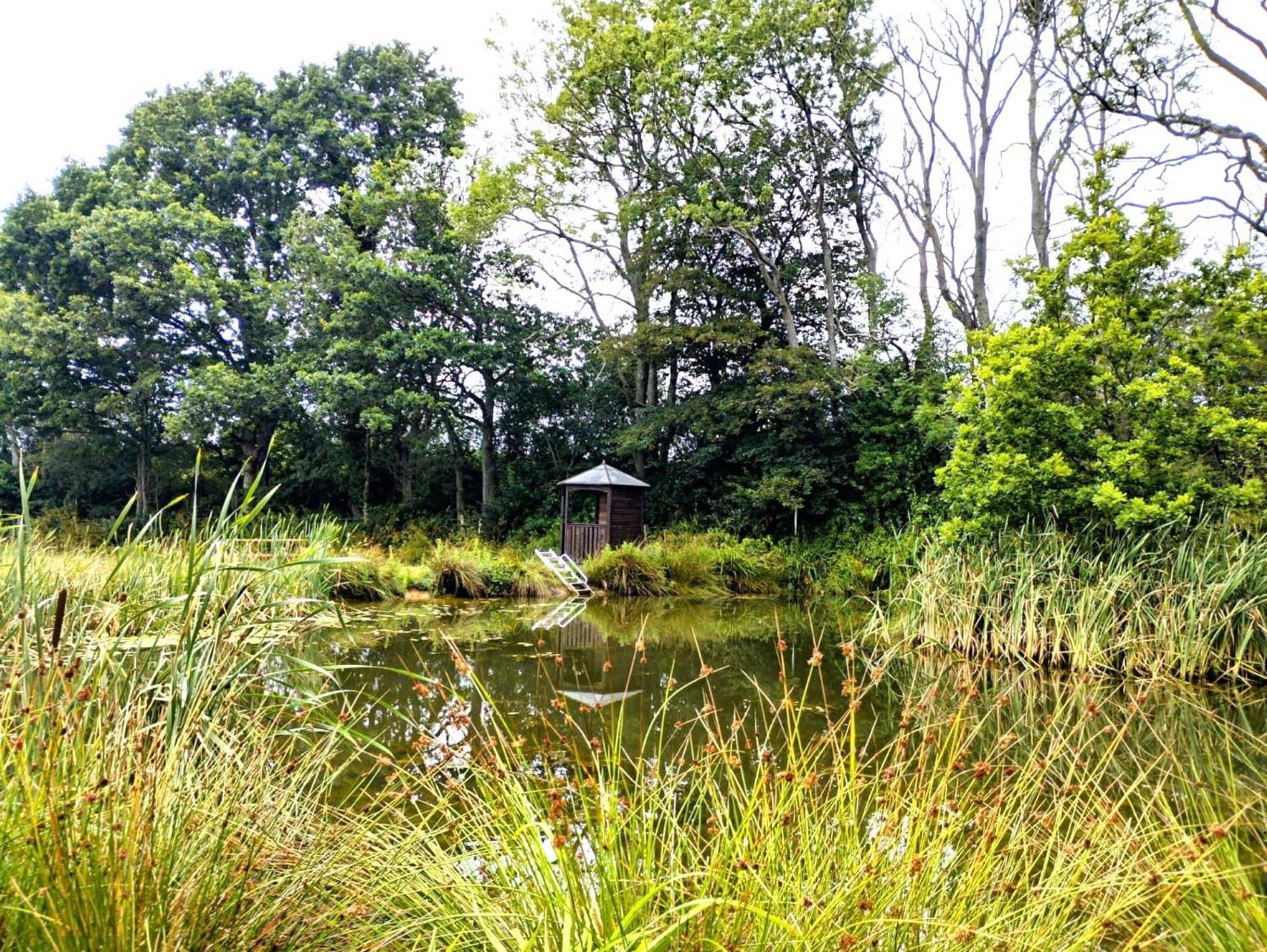 Peaceful Ensuite Lakeside Cabin 'Tench' Hadlow Down Exterior photo